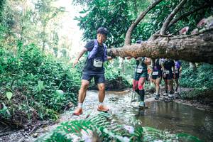 BIB: 
                            <button type="button" onclick="openModal(25444204)" class="btn btn-primary btn-sm float-right btn-popup" data-toggle="modal" data-target=".modal-high-quality">
                        <i class="fas fa-shopping-cart"></i> Add to Cart
                    </button>
                                            <button type="button" onclick="isThisMe(25444204, true)" class="btn btn-success btn-sm float-right btn-popup btn-isme hidden" data-toggle="tooltip" data-placement="bottom" title="นี่คือรูปของคุณใช่ไหม คลิกที่นี่เพื่อเอาเข้าอัลบั้ม">
                        <i class="fas fa-plus"></i> Add to album
                    </button>
                    <button type="button" onclick="isThisMe(25444204, false)" class="btn btn-warning btn-sm float-right btn-popup btn-isnotme hidden">
                        <i class="fas fa-ban"></i> Remove from album
                    </button>